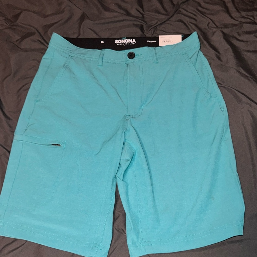Men’s teal shorts
